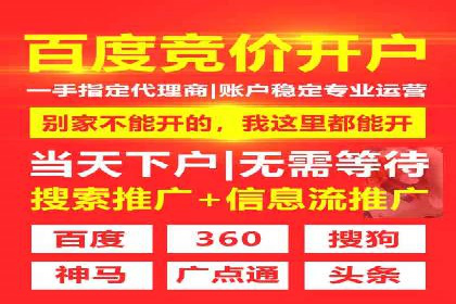 SEM服务案例：提升企业竞争力